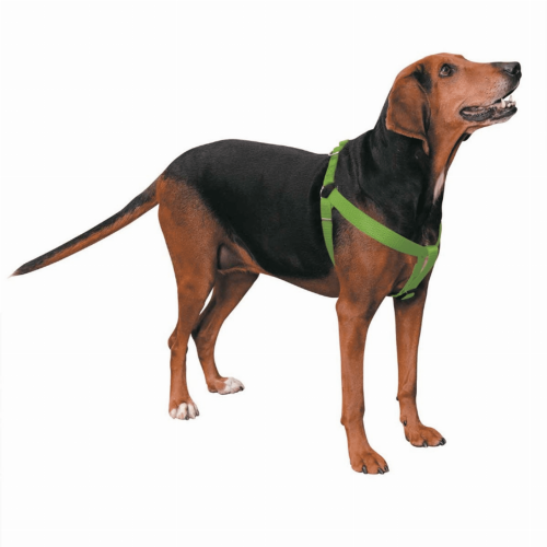 CC Nylon 2 Step Harness 25-40In Grn