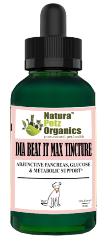 Max Tincture Extract* - Adjunctive Pancreas, Blood Glucose & Metabolic Support*