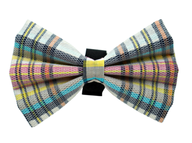 PR8008|Pets Ribbons (size: 2")