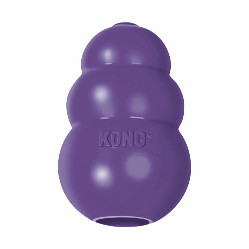 KONG(R) Senior Dog Chew Toy